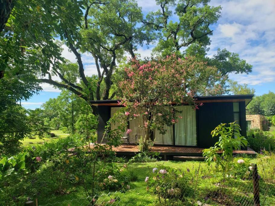 Amazing mini cottage in montain