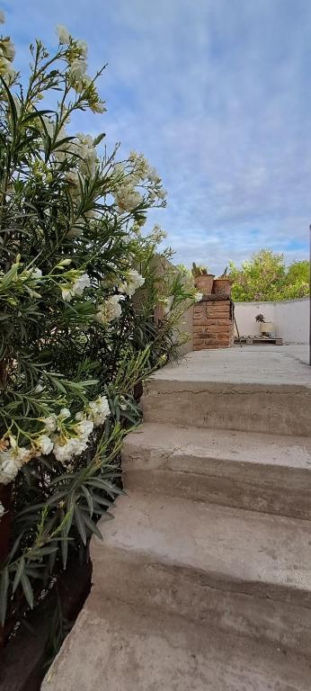 Ayres de Catamarca