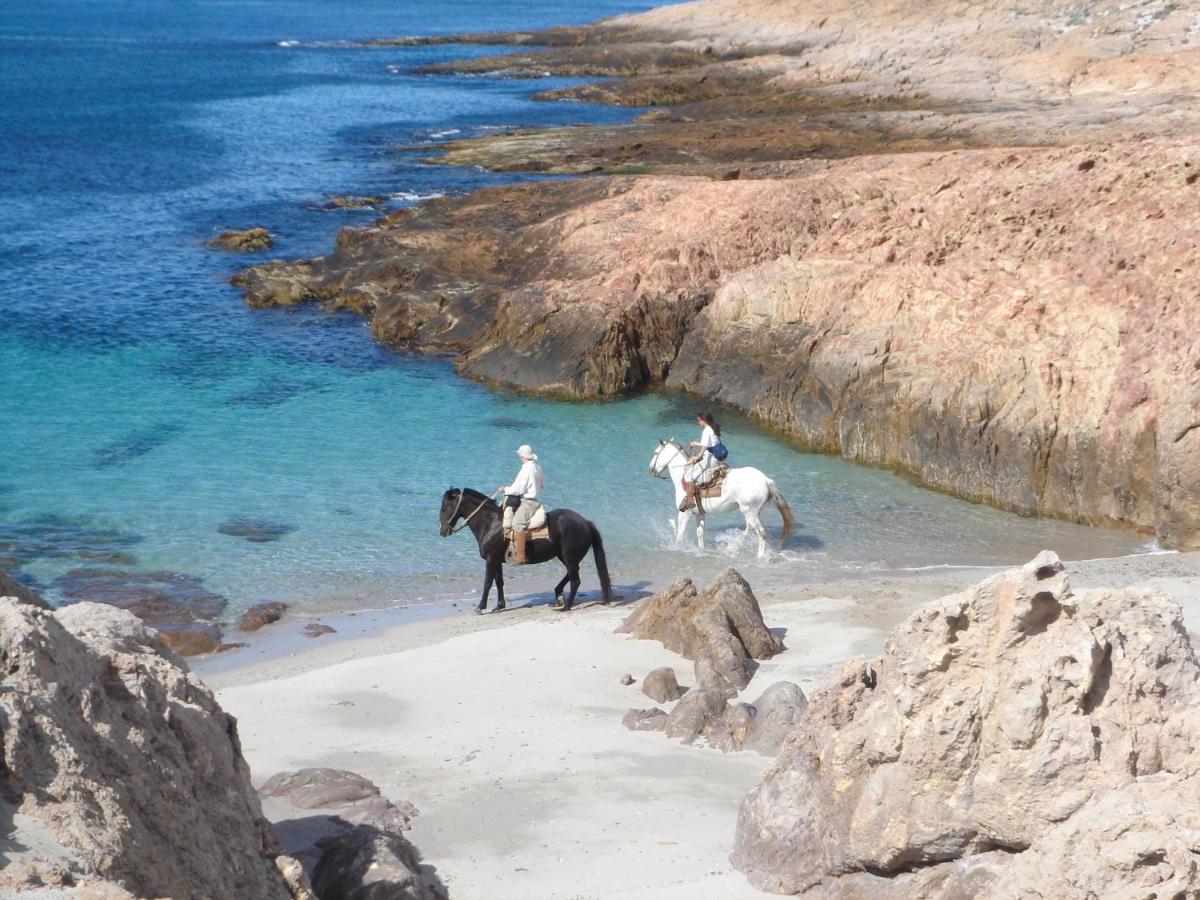 Bahia Bustamante Lodge