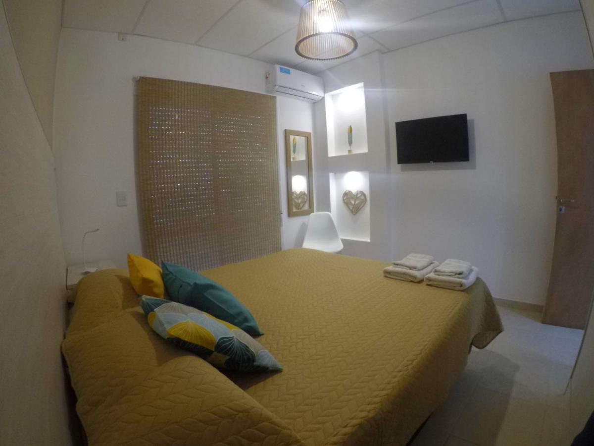 C1 Suite