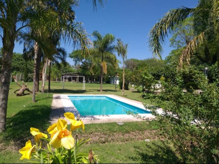 Cabañas TERMALES