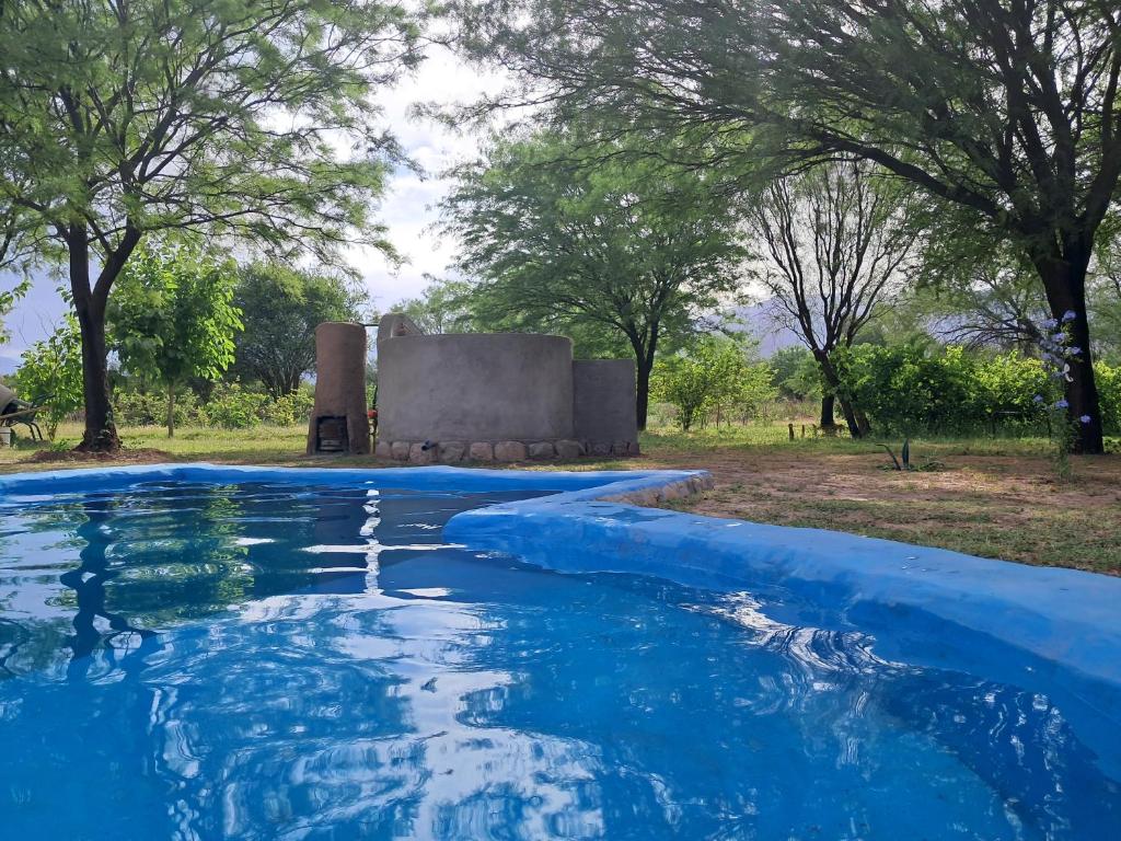Campo Domingo