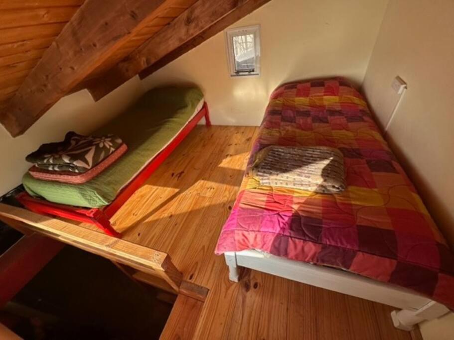 casa al pie del cerro Otto rodeada de bosque.