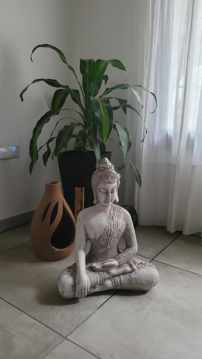 Casa Buda