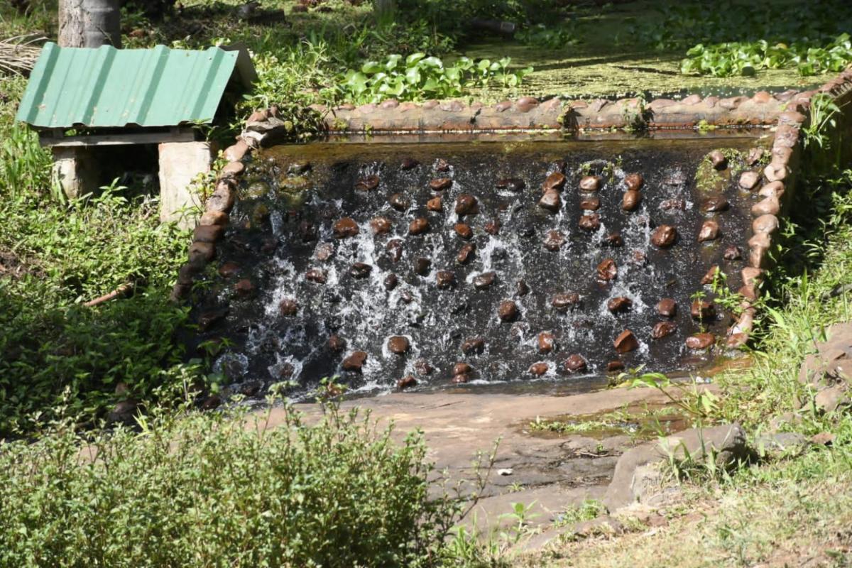 Cabaña Amarilis