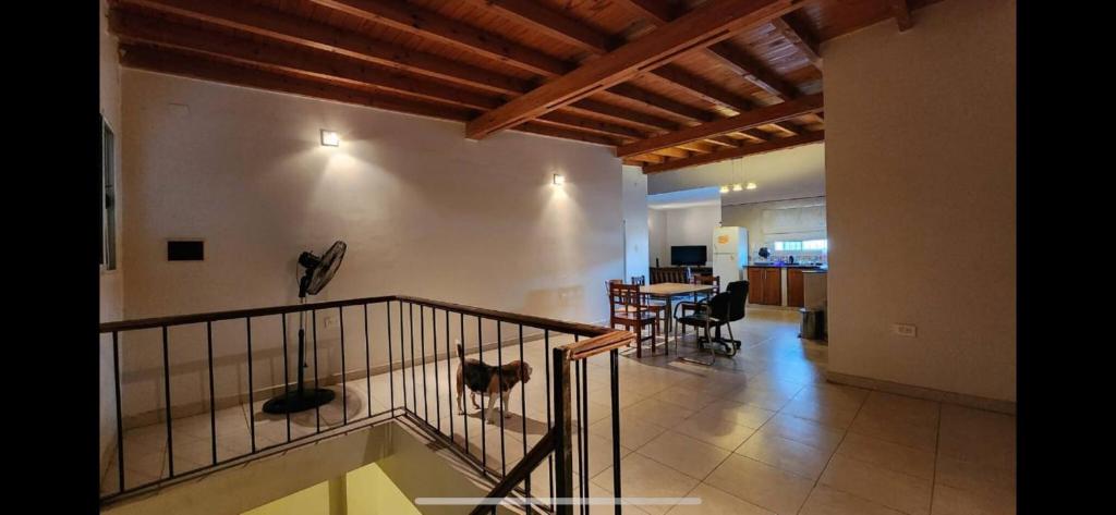 Duplex Moreno