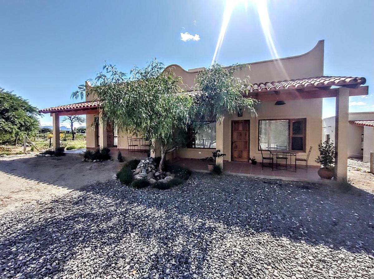 El Aromo
