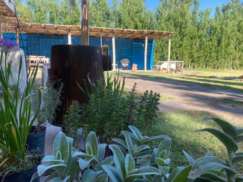 Las tapias