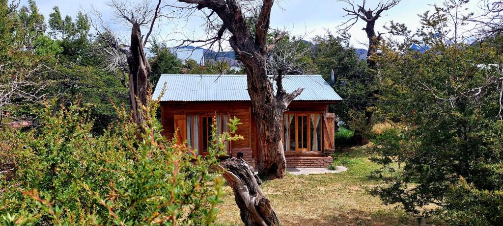 Loicas en El Chaltén - Cabaña